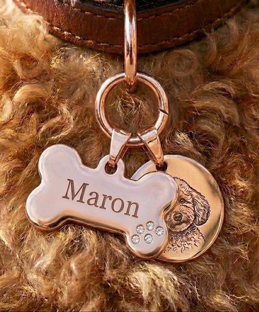 Pet charm Plus(ペットチャーム＋)