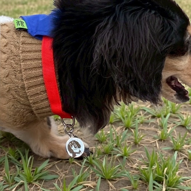 Pet Charm(ペットチャーム)